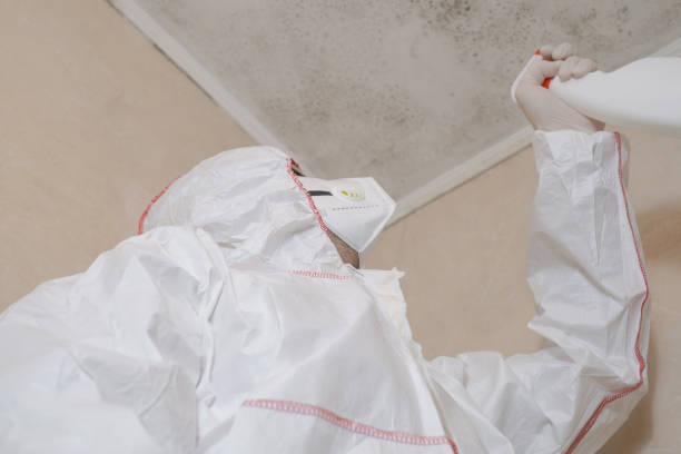 Best Mold Remediation for Specific Building Types in Meriden, CT